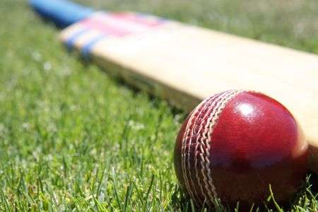 Cricket Ball