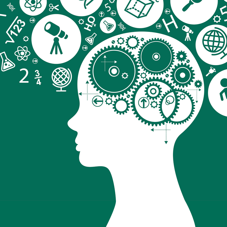 SQ psychology