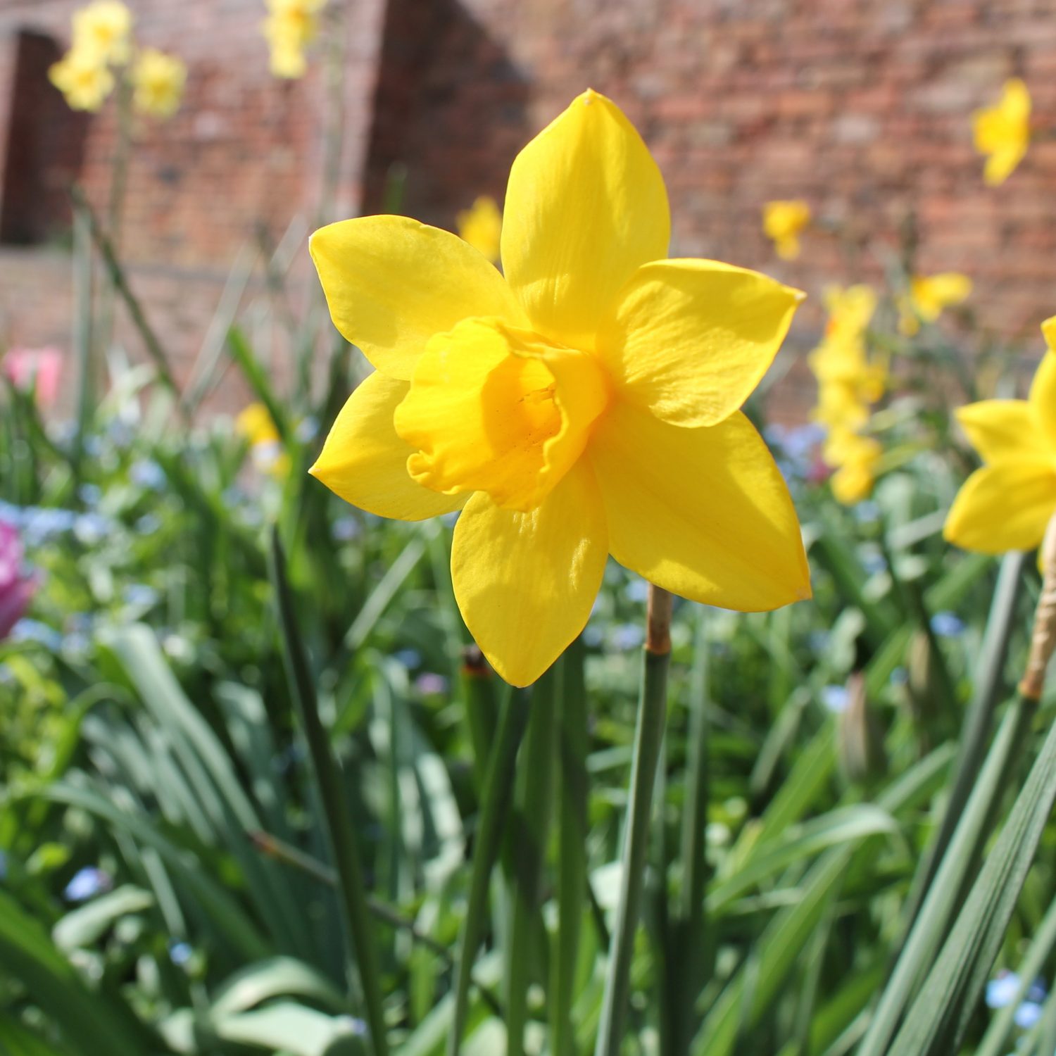 SQ Favorites - 9 of 10 copy