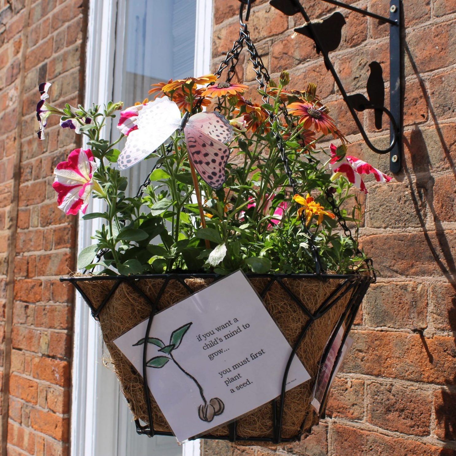 ‘RGS Spring Show’: Hanging Baskets Competition