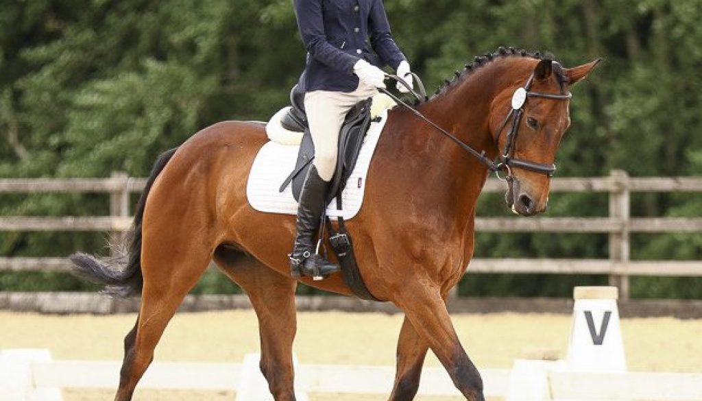 RGS Equestrian Team are Riding High