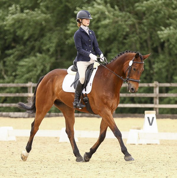 RGS Equestrian Team are Riding High