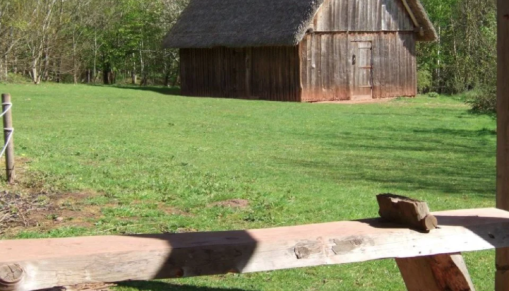 SQ screenshot 2021-07-02 at 10.33.10 copy