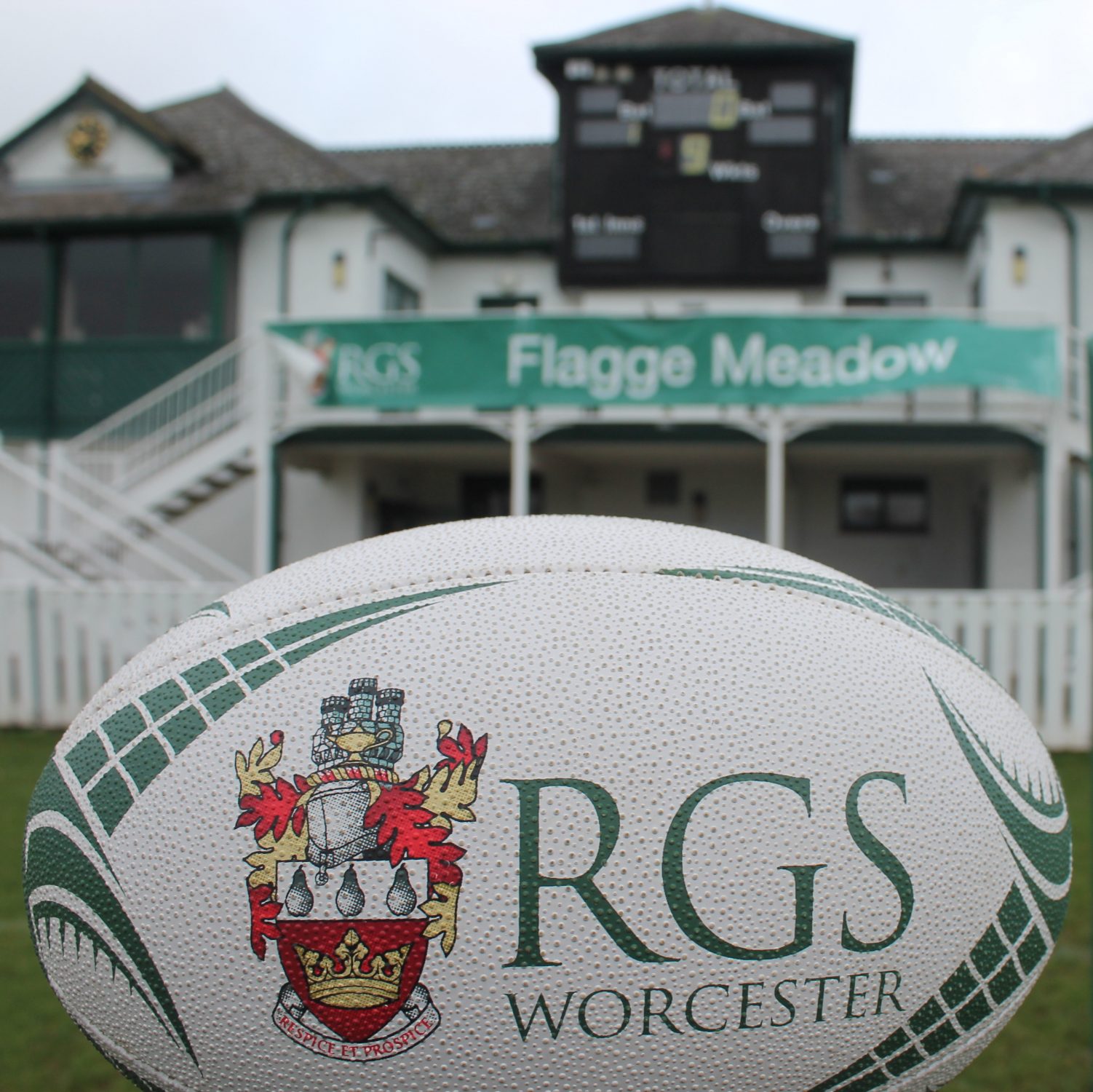 SQ Rugby balls IMG_6693 copy