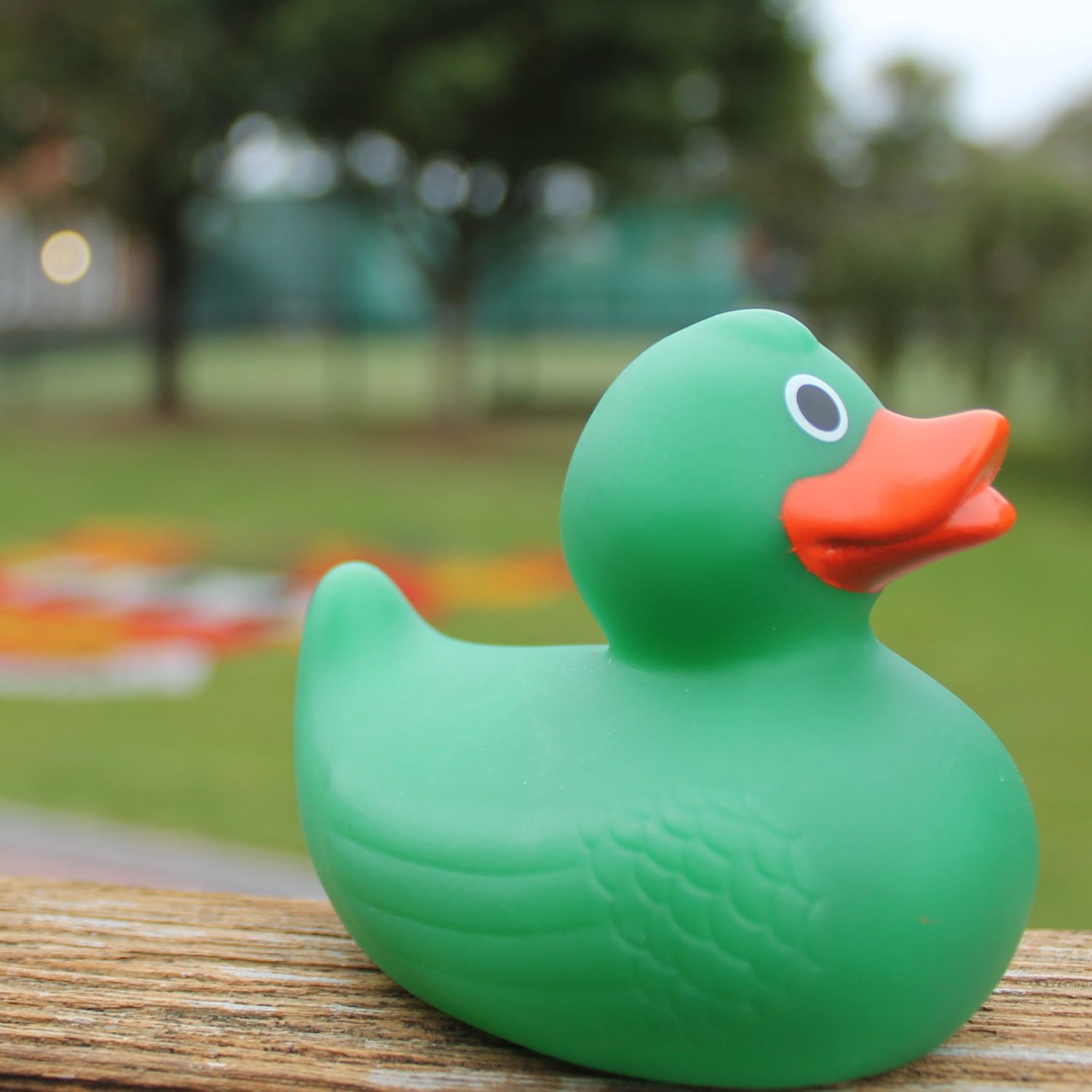 SQ OM 2 Oct 21 - 25 of 304 copy