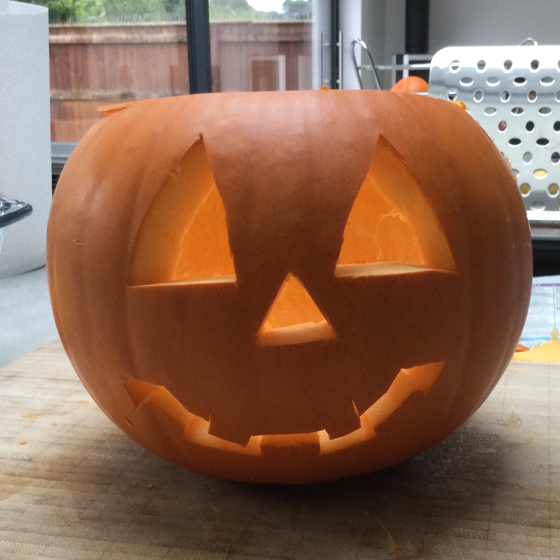 SQ Whiteladies Aaron Lad - Pumpkin copy