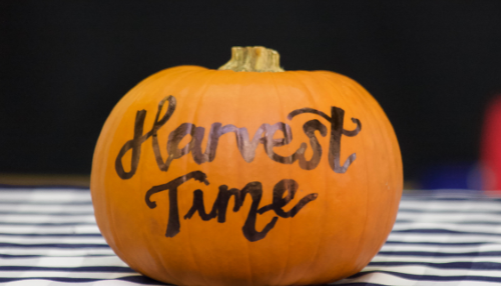 Autumn Activities at The RGS Worcester Family of Schools